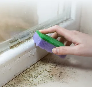 Плесень на окнах: лечение оконного проема от грибка - фото